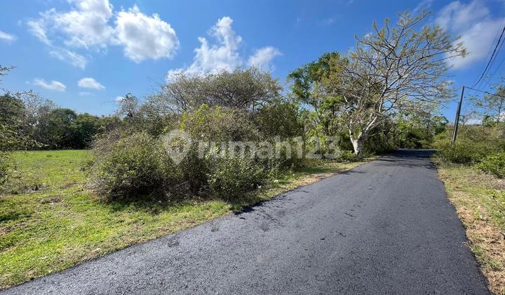Tanah Kavling Jalan 5 Meter Kampus Udayana Jimbaran Yellow Zone Tanah Kavling Jalan 5 Meter Kampus Udayana Jimbaran Yellow Zone