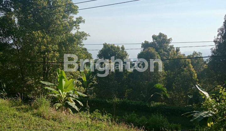 Lahan 700 M2 Area  Kebun Cengkeh Villa Buleleng Utara Bali 2