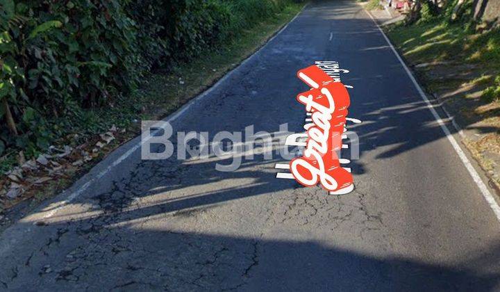 LAND 13 AEW IN PAYANGAN SUITABLE FOR JUNGLE & MOUNTAIN VIEW VILLA 1