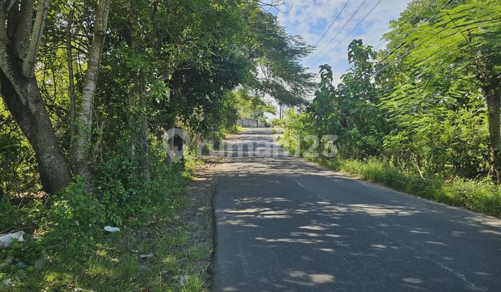Commercial Land 760M² Freehold Near Mades Warung Ungasan Business Villa Commercial Land 760M² Freehold Near Mades Warung Ungasan Business Villa