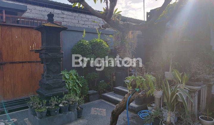 Rumah Murah 6 Kt 3 Km Di Bung Tomo 2