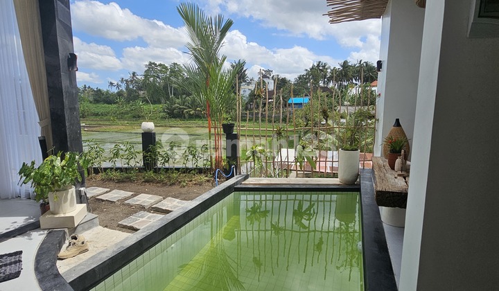 Villa 2br View Rice Field Taman Ayun 30 Menit Ubud Kedungu Nuanu 1