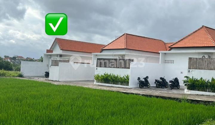 Villa 2 Kamar Furnish di Canggu Kerobokan Dekat Brawa Beach V422