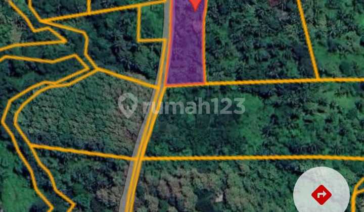 V117 Land 27 Acres Rejasa Village Penebel Mount Batukaru Suitable for Villa