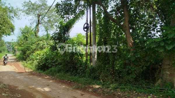 Tanah 14 Are Keramas Akses 6M Dekat Ib Mantra SHM Turun Harga Tanah 14 Are Keramas Akses 6M Dekat Ib Mantra SHM Turun Harga