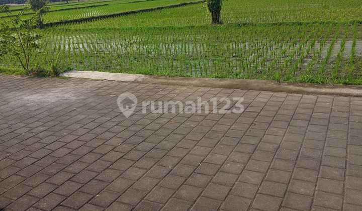 V110 Rumah 2br Kediri 10 Menit Kedungu 40 Menit Canggu View Sawah 2