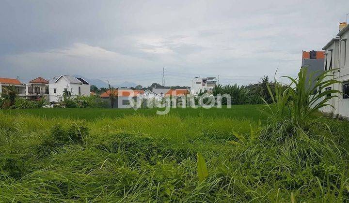A LAND FOR RENT 35 YEARS IN KEDUNGU : 120 M2 NEAR KEDUNGU BEACH 1