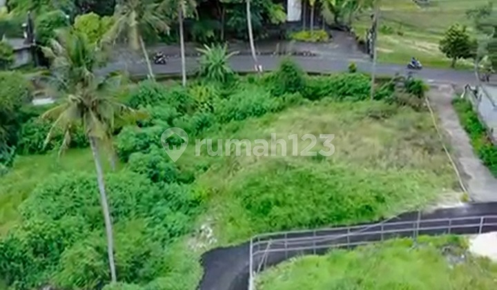 Tanah Kavling Ubud Singakerta 2.Menit Pepito Tebongkang Ubud V27
