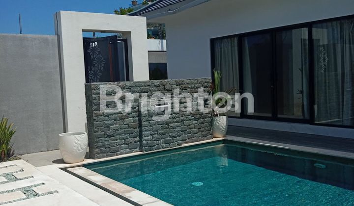 FULLY FURNISHED 2BR VILLA WITH JUNGLE AND OCEAN VIEWS, ROOFTOP AND LARGE POOL FULLY FURNISHED 2BR VILLA WITH JUNGLE AND OCEAN VIEWS, ROOFTOP AND LARGE POOL