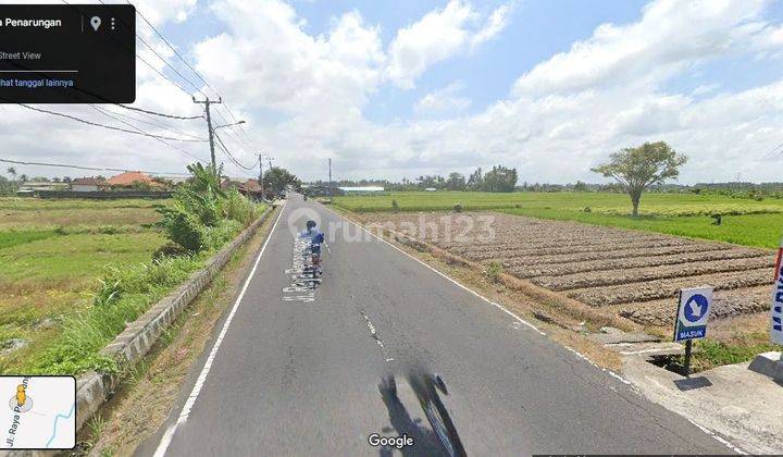 Tanah 20 Are Gulingan Mengwi Pinggir Jalan Raya 2