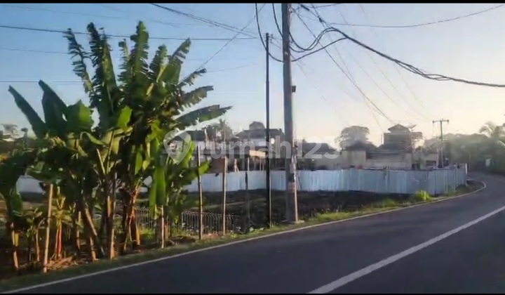 V90 Tanah 14.5 Are Pingir Jalan Utama Pererenan 1.1 M Per Are V90 Tanah 14.5 Are Pingir Jalan Utama Pererenan 1.1 M Per Are