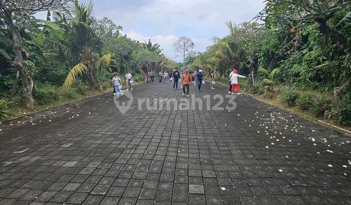 Land Ready to Build Siyut Sea View 3 Minutes to the Beach