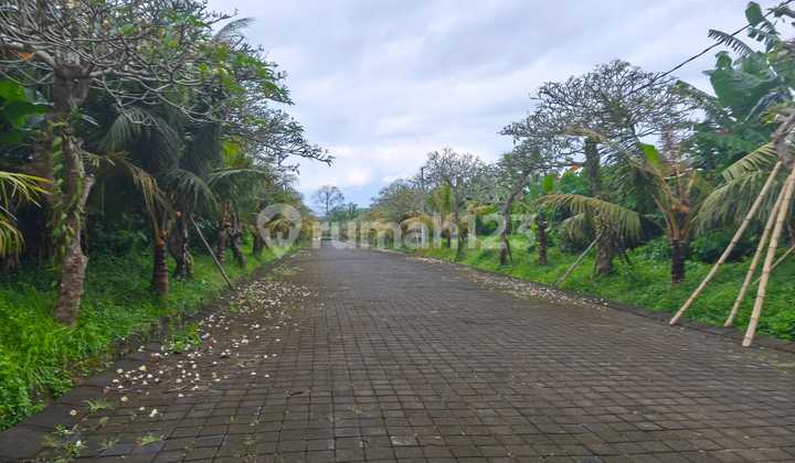 Tanah Kapling Ib Mantra Row Jalan Kapling 14 Meter 1 Km Pantai 2