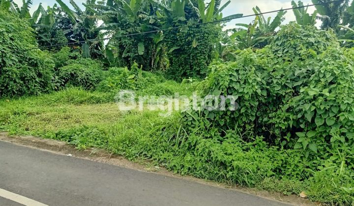 Tanah Murah Pinggir Jalan Pantai Kedungu Villa Rumah Tinggal Tanah Murah Pinggir Jalan Pantai Kedungu Villa Rumah Tinggal