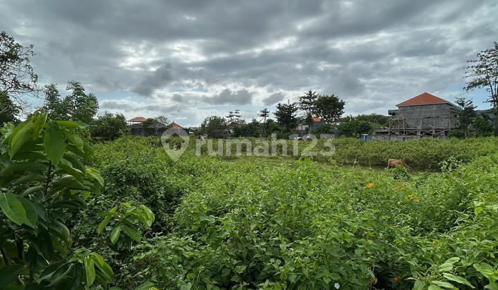 Tanah Siap Bangun Kutuh Bawah Harga Pasar 12 Menit Pantai Pandawa Tanah Siap Bangun Kutuh Bawah Harga Pasar 12 Menit Pantai Pandawa