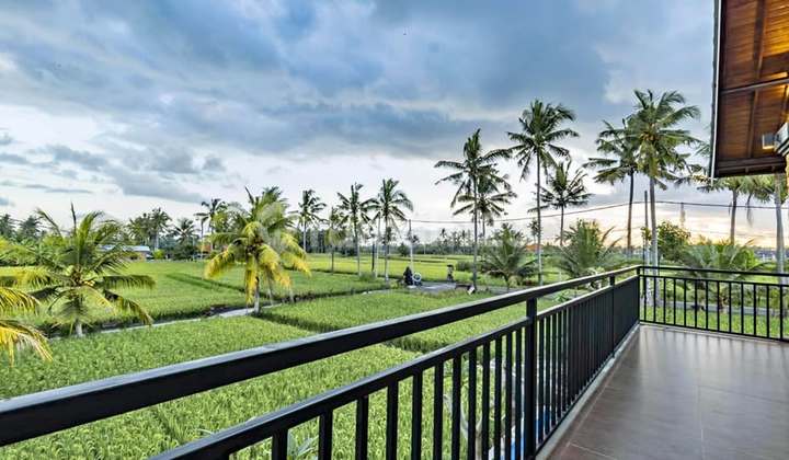 Ricefield View Villa 3br With Private Pool & Sunset Balcony 2