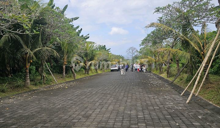 Tanah Siap Bangun Siyut View Laut 3 Menit Pantai Lebih