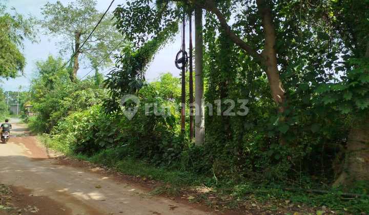 Tanah Murah 1426 M2 Keramas 7 Menit Pantai Pering Bentuk Kantong Tanah Murah 1426 M2 Keramas 7 Menit Pantai Pering Bentuk Kantong