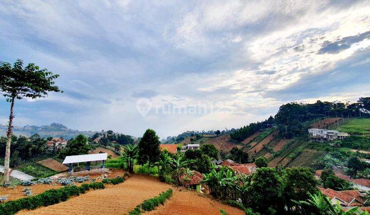 Tanah Matang Dago Pakar Timur Bandung 2