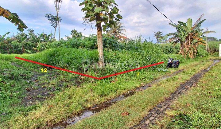 Jual Tanah Murah Bunut Asrikaton Pakis Malang 2