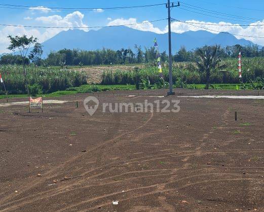 Tanah Murah Di Jual Tumapel Singosari Malang View Gunung 2