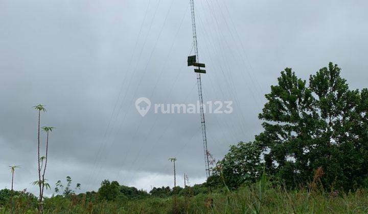 Tanah Murah Dan Luas Pinggir Jalan Raya Trans Kalimantan Km 52 2