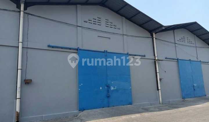 For Rent Warehouse Miami Tegal Alur Kalideres