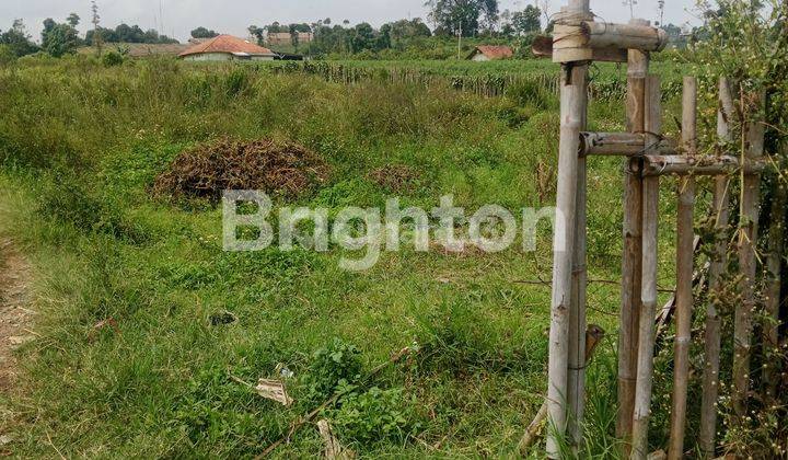 tanah cocok buat villa di cisarua view gunung 2