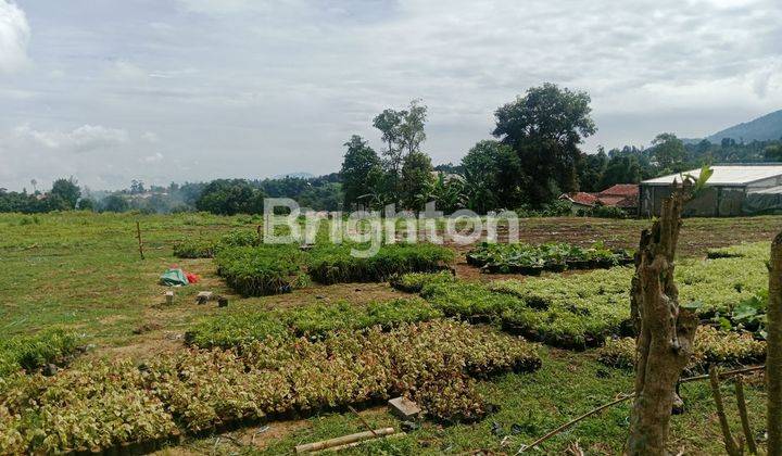 Tanah view gunung buat Villa Sisi Jalan 1