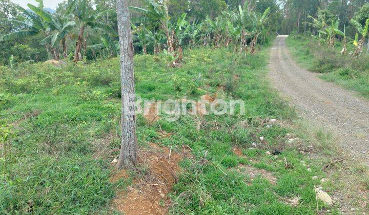 tanah sukanegara soreang bandung buat kebun dan villa deket tempat Wisata 1