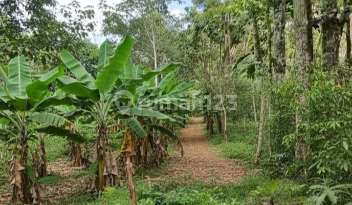 Dijual Tanah Luas Kosong Multifungsi Di Daerah Ciamis