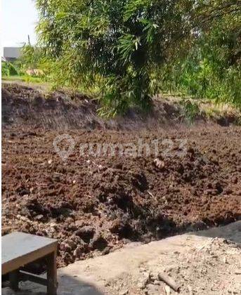 Tanah Lokasi Kayu Tulang Utara, Uma Buluh Tibubeneng Canggu