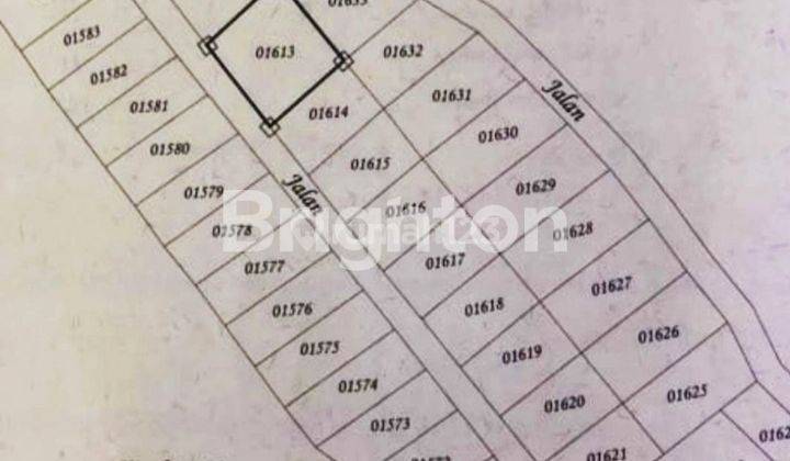 LAND SUITABLE FOR BUILDING HOUSE/VILLA/GUEST HOUSE in KUBUTAMBAHAN, BULELENG, SINGARAJA, BALI 1