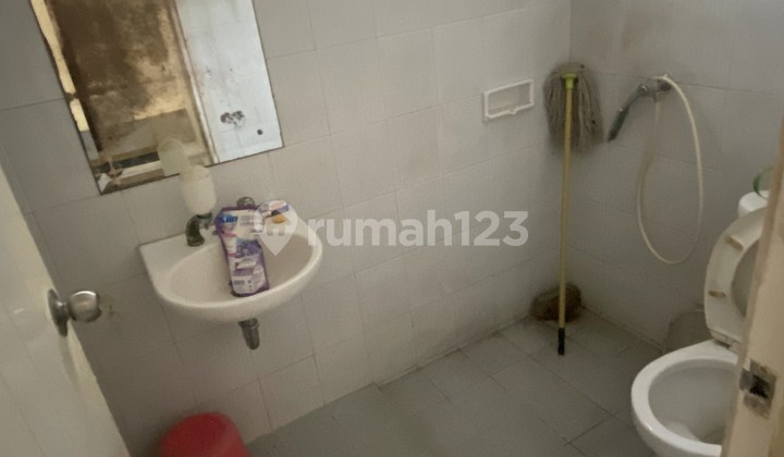 For Rent Fully Furnished House in Cluster Cosmo BSD The Icon