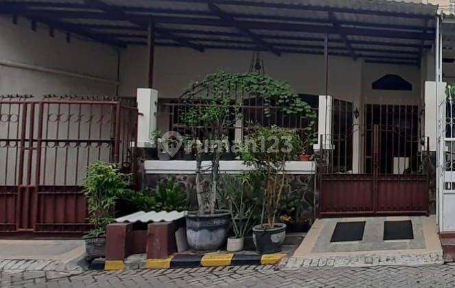 Dijual Bu Rumah 2 Lantai Sutorejo Selatan Shm Bagus 1