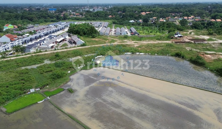 Jual Tanah untuk Perumahan di Kramatwatu Cilegon Serang Dekat Tol Jual Tanah untuk Perumahan di Kramatwatu Cilegon Serang Dekat Tol