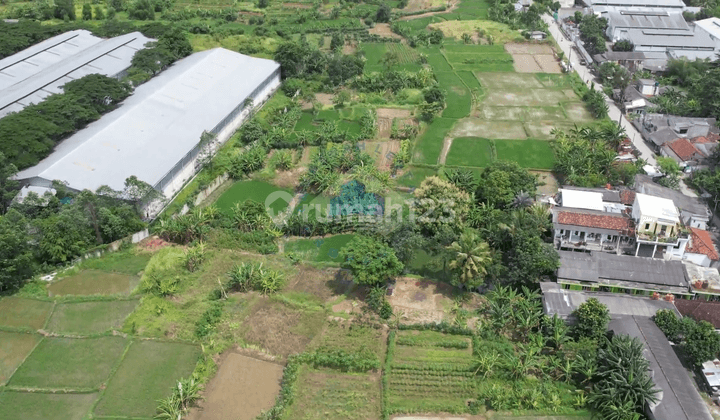 Tanah di Jalan Raya Cikande - Rangkasbitung, Serang 96.750 m² 1