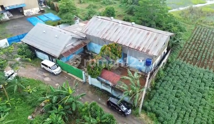 Jual Pabrik Ex Skincare di Gn Sindur Padurenan Akses Container 40