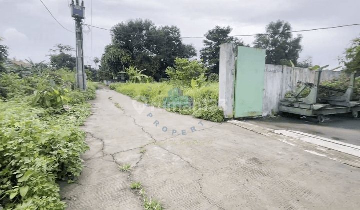 Gudang di Jalan Desa Cemplang, Serang 1.000 m Bagus 2