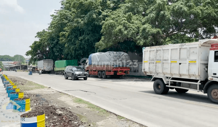 Pabrik di Jalan Raya Cikande Rangkasbitung, Serang 10.000 m 2