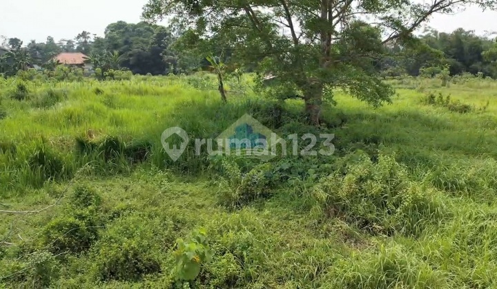 Dijual Murah Tanah Di Kopo Serang Banten Dekat Dengan Akes Tol