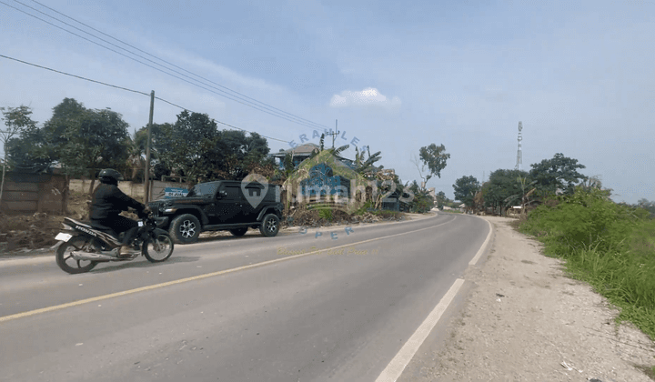 Tanah murah industri di jl raya cikande rangkasbitung dkt stasiun 1