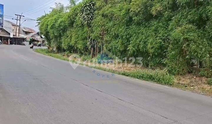 Jual Tanah Di Jl Raya Pemuda - Bsd Serpong Bogor Akses Lebar Jual Tanah Di Jl Raya Pemuda - Bsd Serpong Bogor Akses Lebar