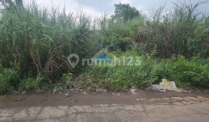 Tanah di Ds Cukanggalih - Curug Tangerang, Banten