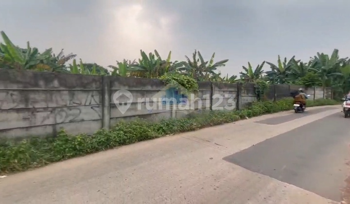 Disewakan Tanah Di Panongan Tangerang Dekat Citra Raya Akses Lbr