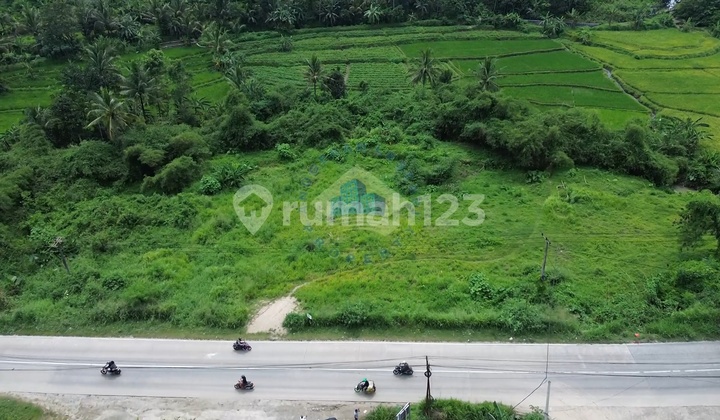 For Sale Residential Land on Jl Raya Palka Serang with 40 Container Access