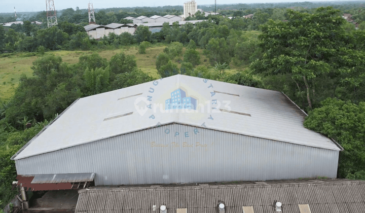 Gudang di Jalan Desa Cemplang, Serang 1.000 m Bagus 2