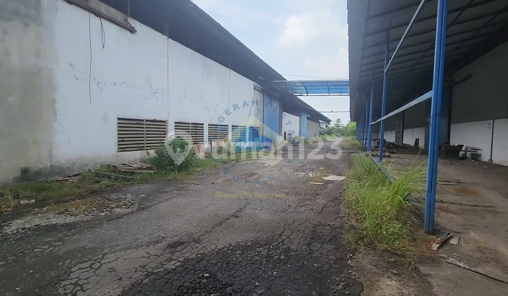 Pabrik di Jl Raya Cikande, Serang - Banten Pabrik di Jl Raya Cikande, Serang - Banten