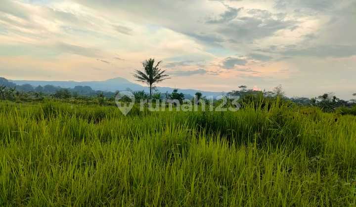 Tanah Produktif Luas, Siap Dikapling Ditemanggung