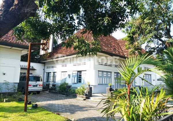 Ancient House Located in the Center of Yogyakarta City 2